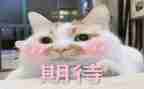 我期待作文6篇