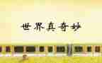 奇妙的数学王国读后感5篇