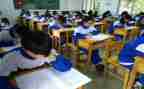 幼儿园学期末班主任工作总结7篇