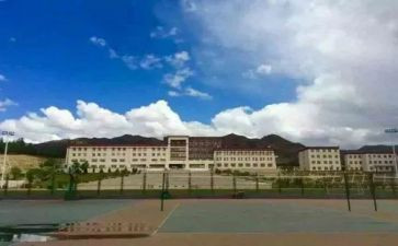 青政心得体会800字精选8篇