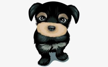 关于犬的的心得体会7篇