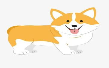 双面猎犬的读后感5篇