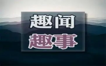 暑假趣事的作文8篇