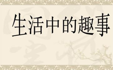 假期的趣事作文6篇