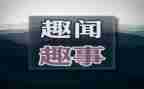 暑假趣事的作文8篇