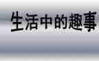 暑假趣事的作文优质5篇
