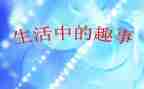 暑假趣事的作文推荐6篇