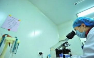 学生会体育部个人工作计划精选6篇