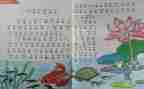 年终个人教师工作总结精选8篇