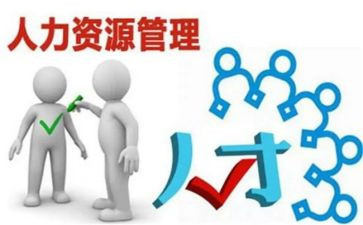 人力工作总结及2024年工作计划8篇