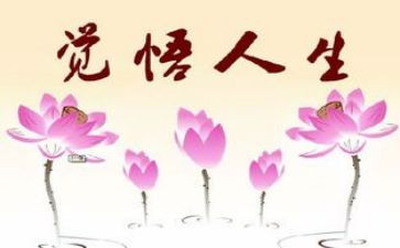 个人生活老师工作总结8篇