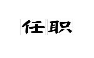 个人任职述职报告7篇