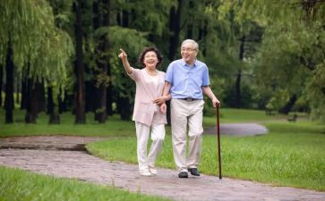 散散步教案6篇