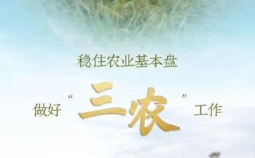 村三农工作汇报总结5篇