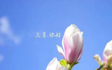 幼儿园大班三月份工作总结5篇