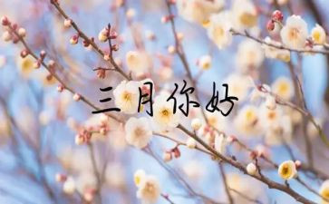 幼儿小班三月份工作总结7篇