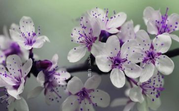 初三月心得体会6篇
