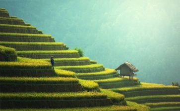 扫墓优秀作文8篇