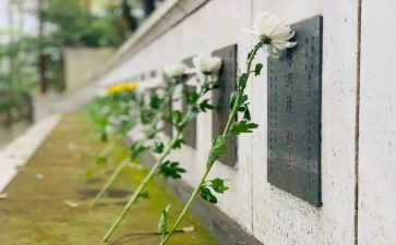 我扫墓作文参考6篇