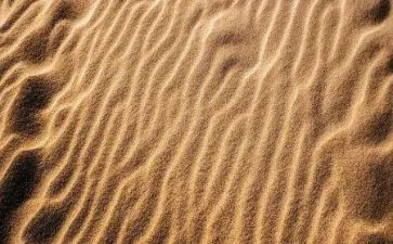 沙鲁迅读后感最新7篇