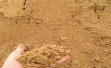 沙鲁迅读后感精选8篇