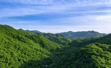 西泰山观后感模板6篇