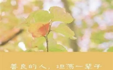 善良作文800字作文6篇