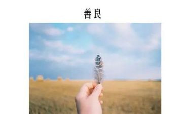 向慈善总会申请救助的申请书5篇