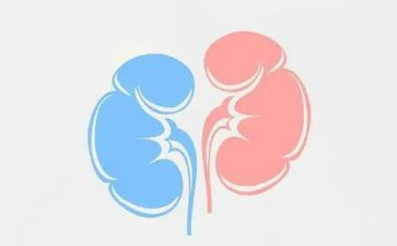 2023年肾内科工作总结精选7篇