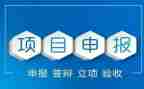 高级教师申报个人总结5篇