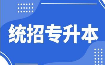 2024年专升本的作文6篇