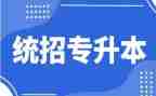 2024年专升本的作文6篇