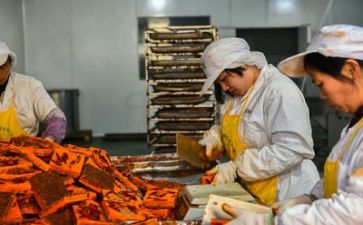 将生产安全工作计划精选7篇