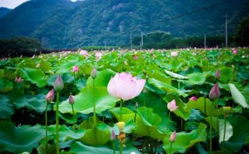 生活部工作计划范文5篇