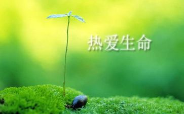 生命需要——作文优秀8篇