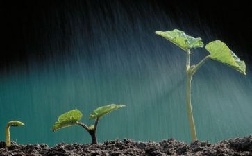 生命里的人作文最新6篇