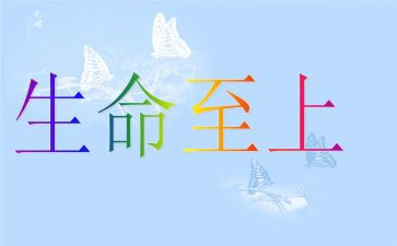 关注消防生命至上心得体会8篇