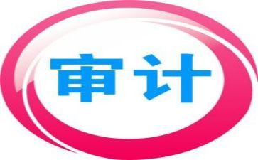 审计2024年工作总结优秀6篇
