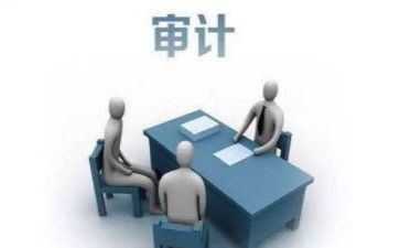 审计个人年度工作总结5篇