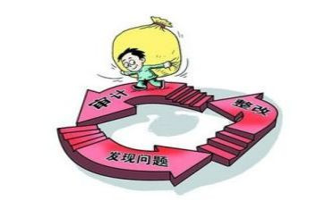 审计员的工作计划精选8篇