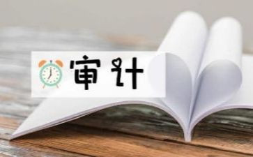 审计个人总结通用5篇