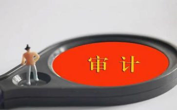 配合审计工作总结7篇