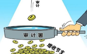 审计2024年工作总结参考6篇