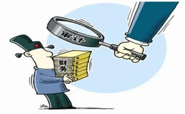 2024年审计工作个人总结6篇