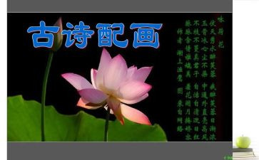 关于青春的诗的演讲稿推荐5篇