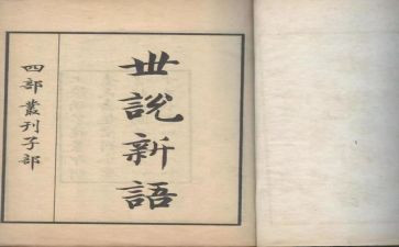 世说新语心得体会8篇