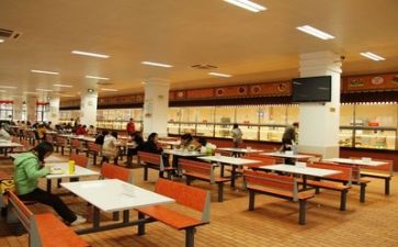 食堂工作总结和工作计划6篇