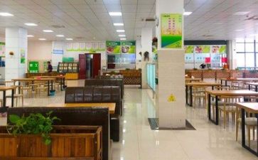 食堂的工作计划精选5篇