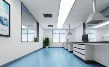 实验作文实验作文通用5篇