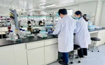 实验作文实验作文参考8篇